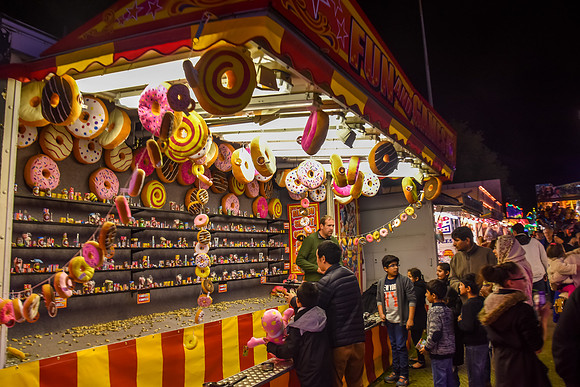 Goosefair198.JPG