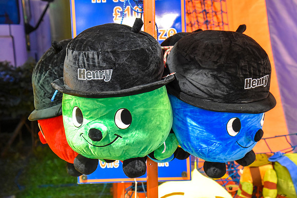 Goosefair200.JPG