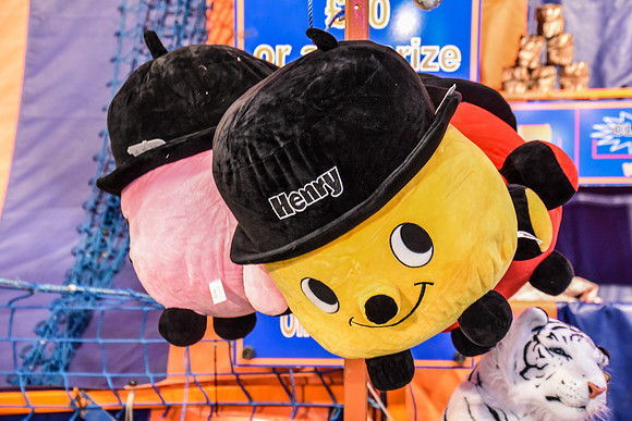 Goosefair201.JPG