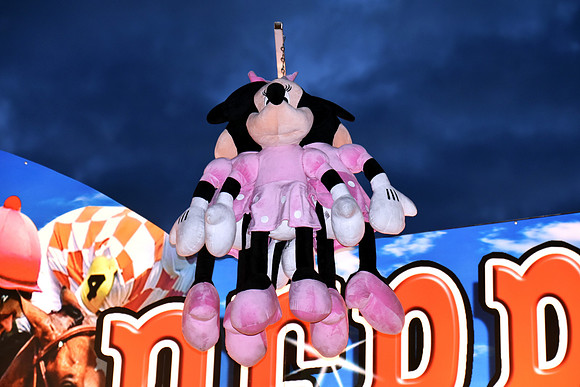 Goosefair202.JPG