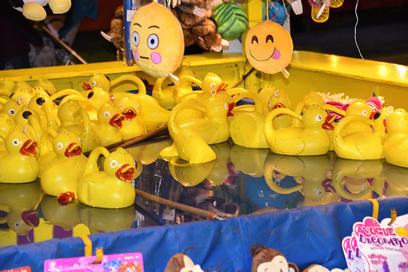 Goosefair203.JPG