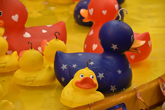 Goosefair205.JPG