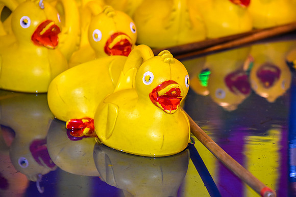 Goosefair204.JPG