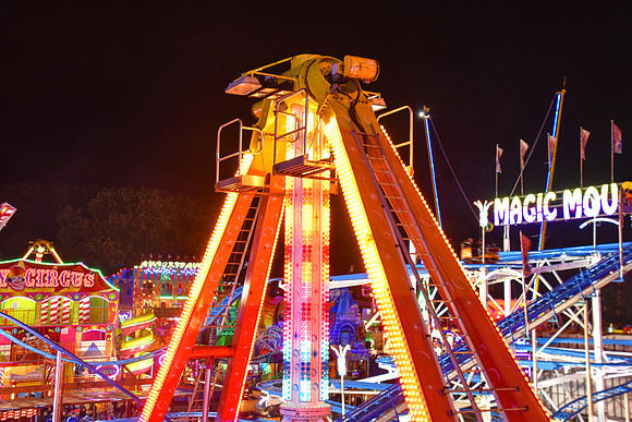 Goosefair131.JPG