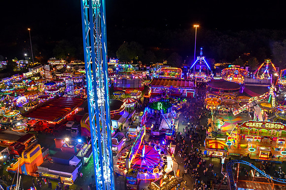 Goosefair130.JPG