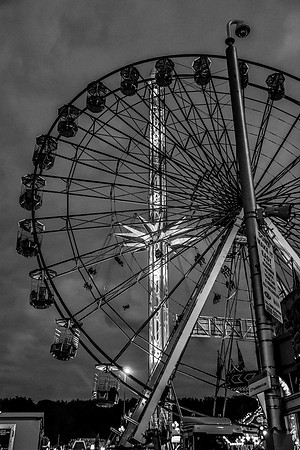 Goosefair132.JPG