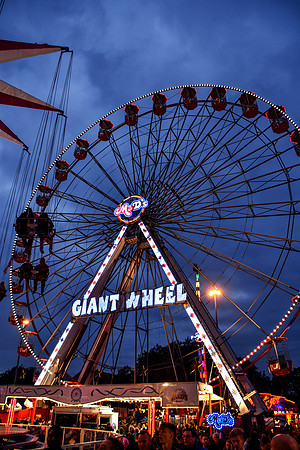 Goosefair134.JPG