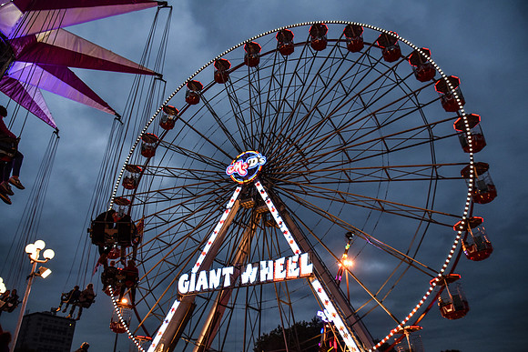 Goosefair135.JPG
