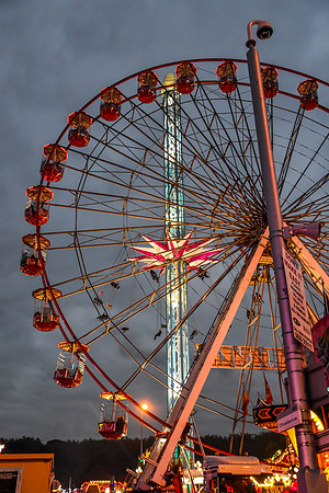 Goosefair137.JPG