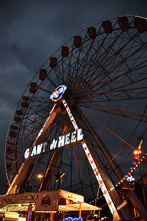 Goosefair136.JPG