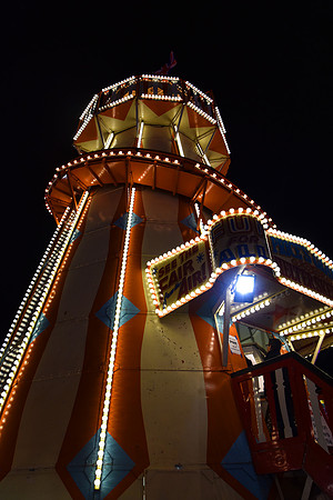Goosefair146.JPG