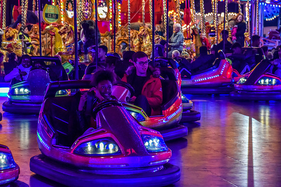 Goosefair148.JPG