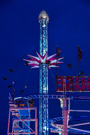 Goosefair147.JPG