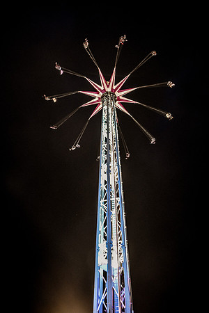 Goosefair154.JPG