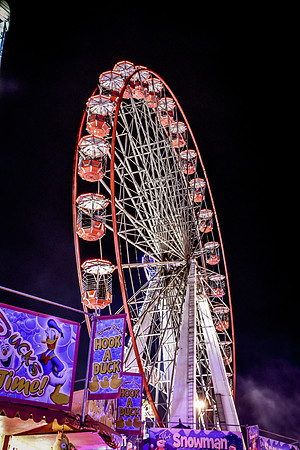 Goosefair151.JPG