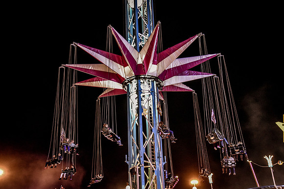 Goosefair156.JPG