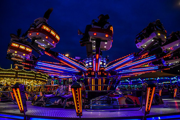 Goosefair159.JPG