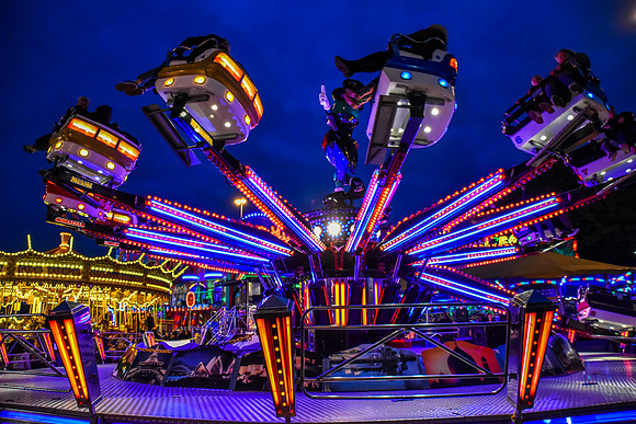 Goosefair160.JPG