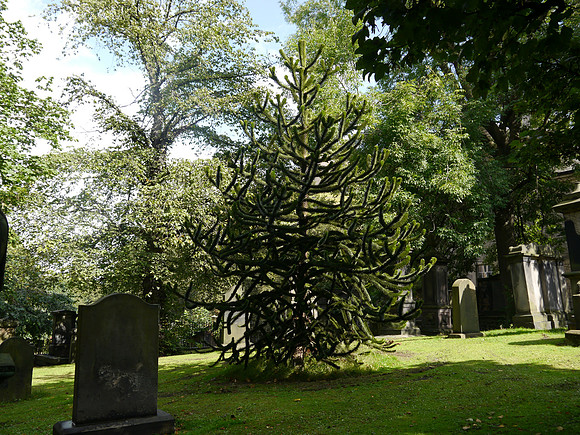 P1240359.JPG