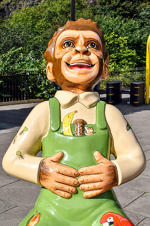 Cheeky Monkey 14 - Johnston Terrace - Mark Johnson