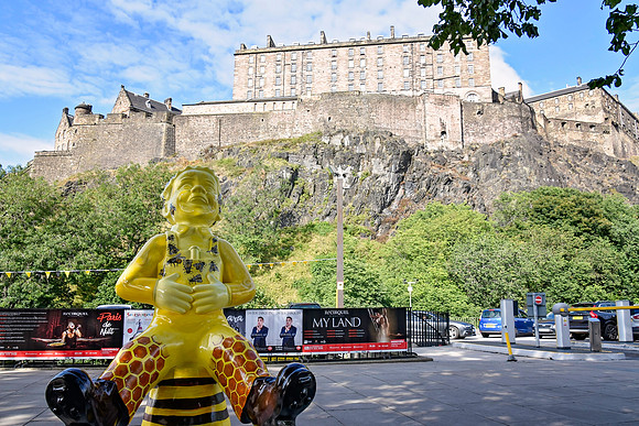 Help Ma Bees 3 - Castle Terrace - Nicola Boon---