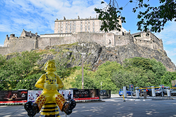 Help Ma Bees 9 - Castle Terrace - Nicola Boon