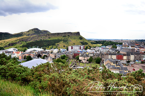 DSC_0991.JPG