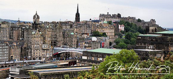 DSC_0989.JPG