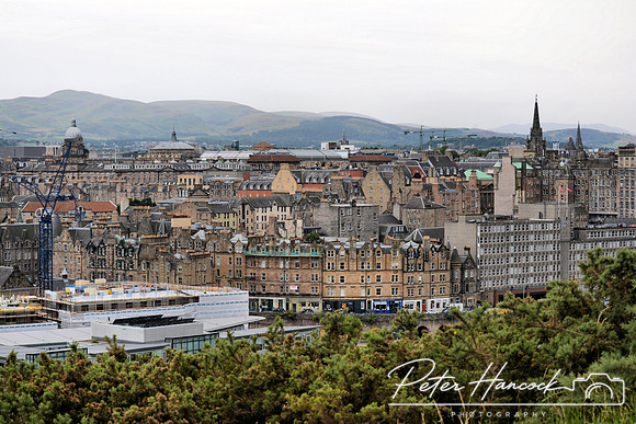 DSC_0004.JPG