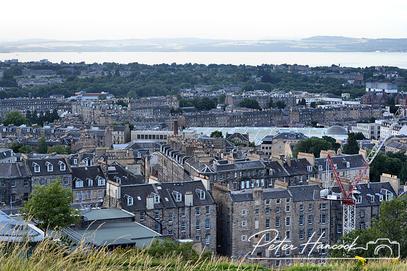 DSC_0442.JPG