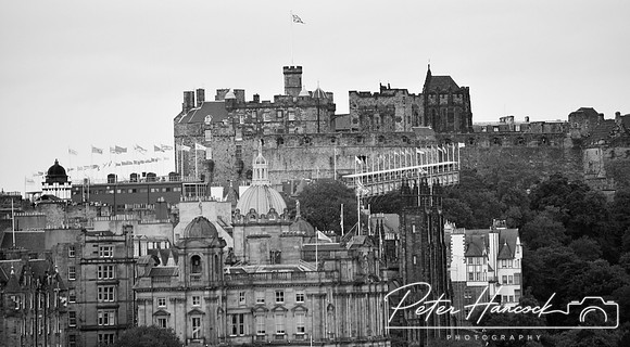 DSC_0993.JPG