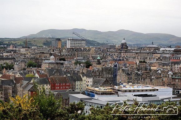 DSC_0003.JPG