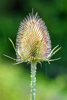 PIH_0104.JPG
