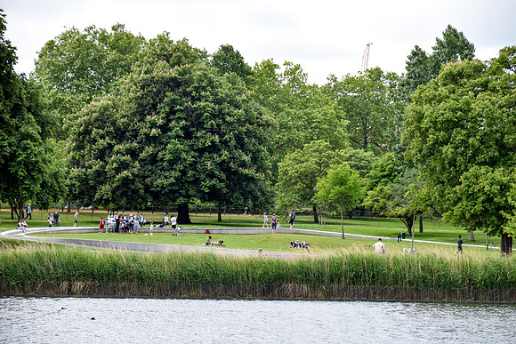 HydePark166