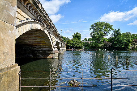 HydePark198