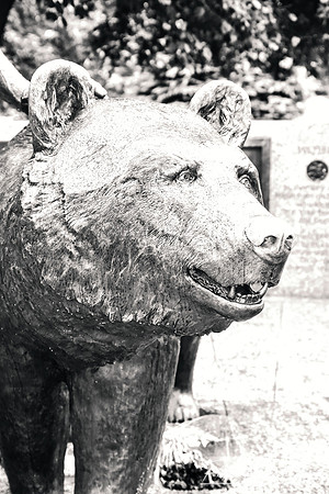 PIH_0145.JPG