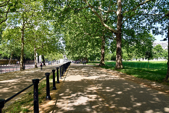 HydePark101