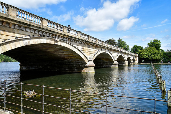 HydePark197