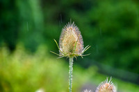 PIH_0105