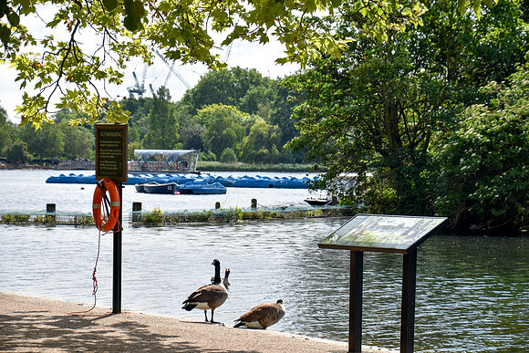 HydePark160