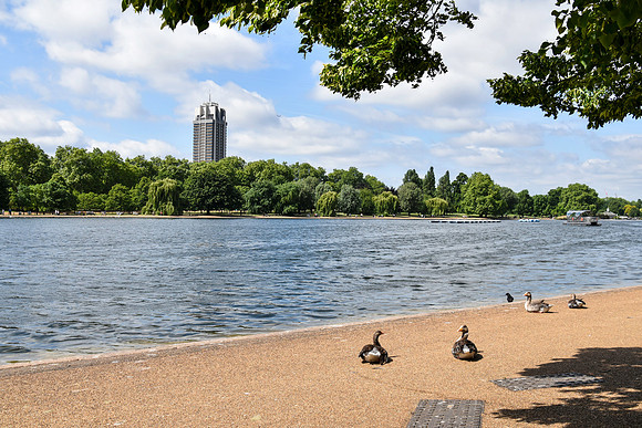 HydePark142