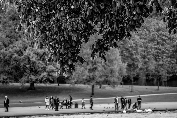 HydePark184