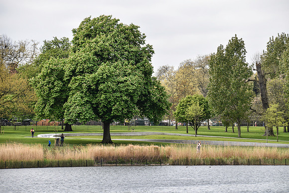 HydePark144
