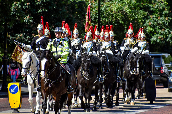 HydePark109