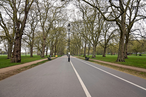 HydePark136