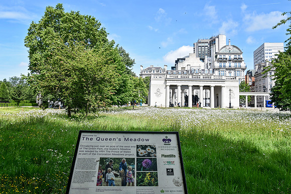 HydePark102