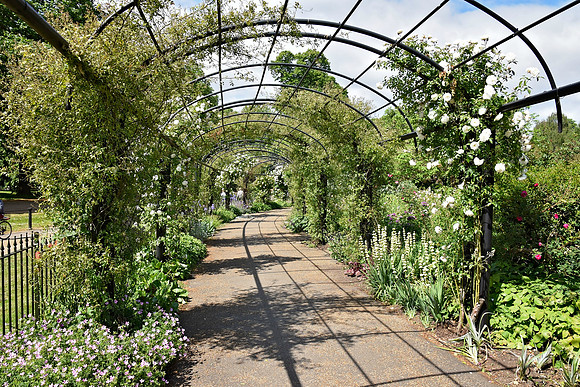 HydePark131