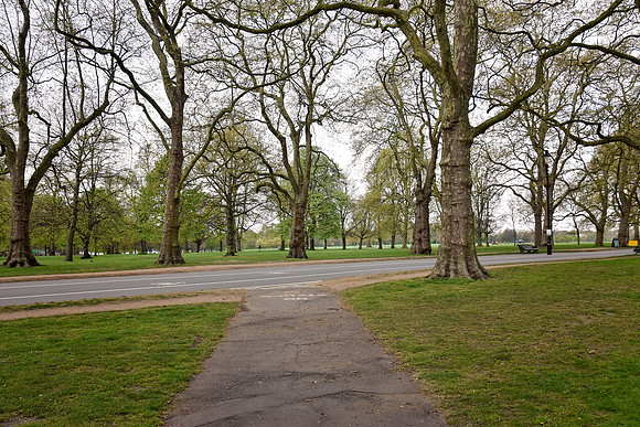HydePark135