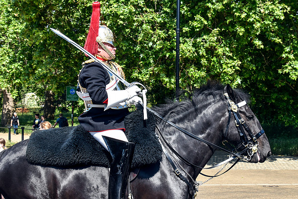 HydePark113