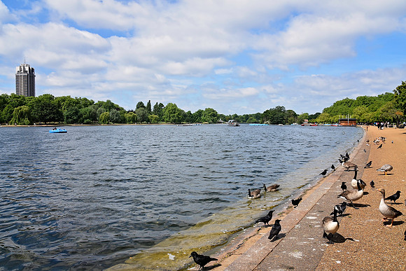 HydePark137